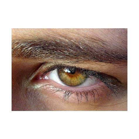 Amber Eyes Via Polyvore Featuring Beauty Products Aesthetic Eyes