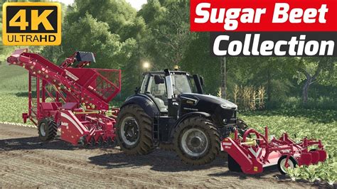 Farming Simulator 19 Sugar Beet Collection Youtube