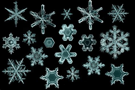 Snowflakes Under The Microscope