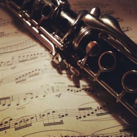 Clarinet Musicalinstruments Musical Instruments Quotes