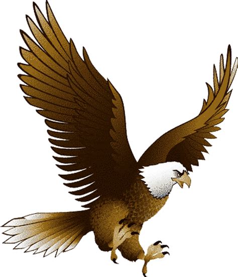 Eagle Png Image With Transparency Free Download