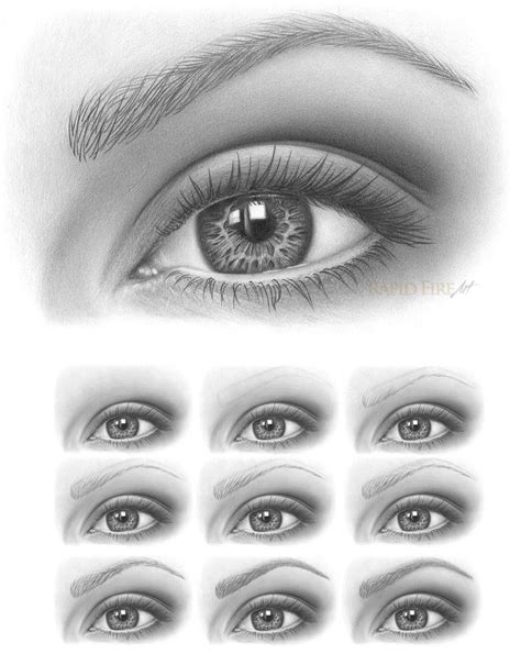 Detailed Tutorial How To Draw Eyebrows 201612
