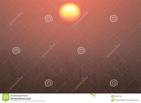 Orange Dawn With Mist Stock Photo Image Of Stars Sunlight 55881784