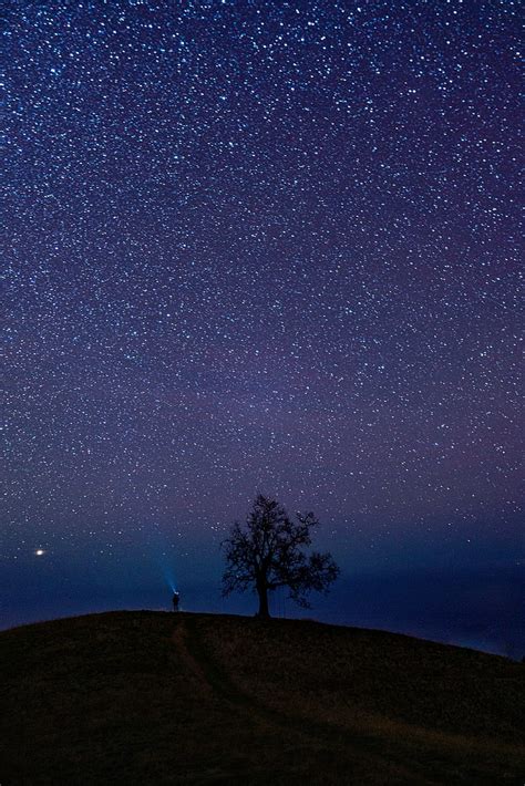 1366x768px 720p Free Download Silhouette Of Trees Under Starry Night