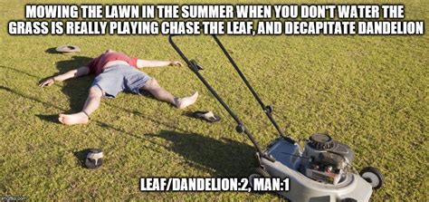Image Tagged In Mowing A Lawn In The Summer When You Dont Water It