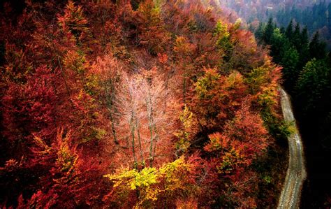 Foliage 2021 Alloasi Zegna In Piemonte Passeggiate E Attività Nelle