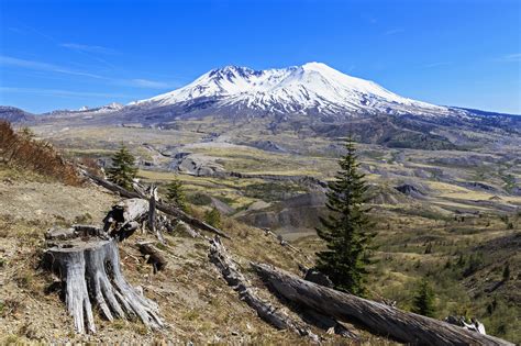 Just to note that the one bedroom is a loft bedroom with a. Mount St. Helens Lodging and Camping Recommendations