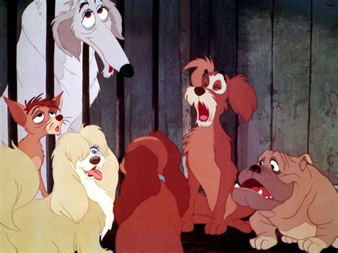 Pound Dogs Lady And The Tramp Disney Versus Non Disney Villains