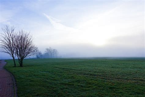 Foggy Winter Meadow Free Photo Download Freeimages