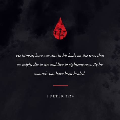 He Himself Bore Our Sins In His Body On The Cross So That We Might