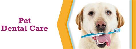 Winterowd did an amazing job with this injury. Pet Dental Care - Commerce Village Veterinary Hospital