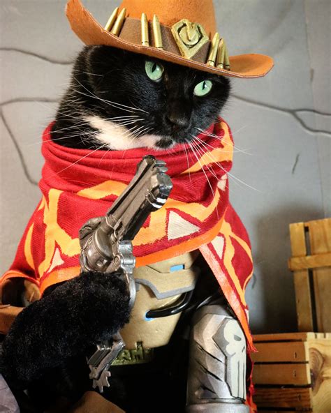 Mccree Cat Cosplay Cat Cosplay Cats Pet Holiday