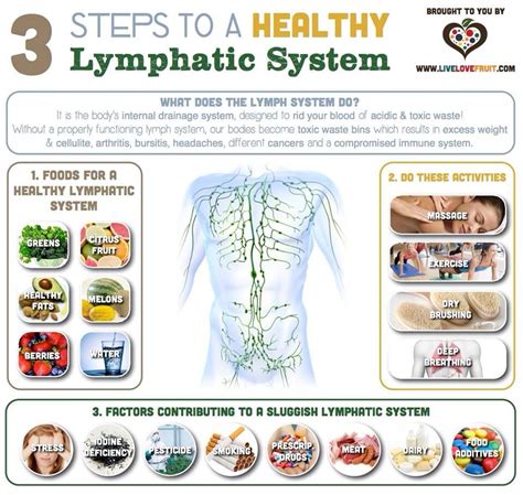 3 Steps To Healthy Lymphatic System ☯wholeness ☯ Pinterest