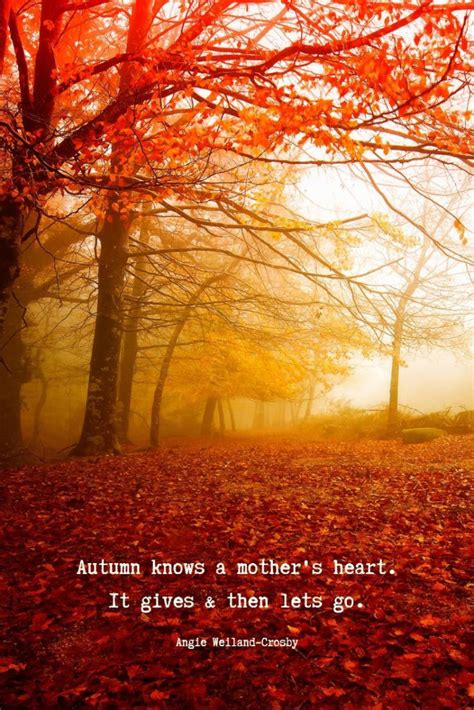 Autumn Quotes Inspirational Fall Quotes Fall Red Leaves Autumn