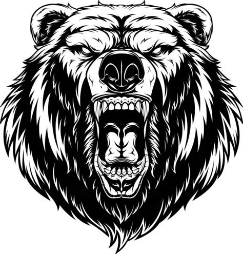 Grizzly Bear Illustrations Royalty Free Vector Graphics And Clip Art