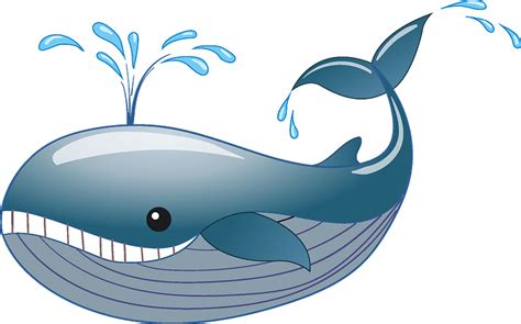 Cartoon Picture Of Whales Whale Cartoon Blue Whale Pink Marine