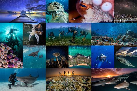 Dpg Presents The Photo Competition For Un World Oceans Day