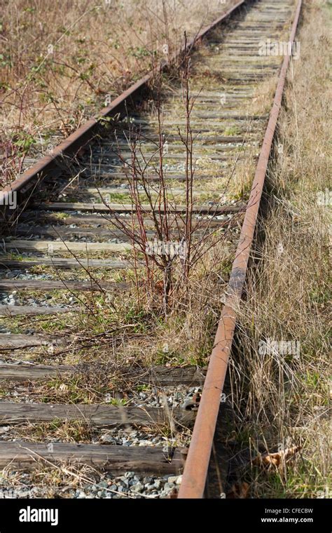Abandoned Train Track Hi Res Stock Photography And Images Alamy
