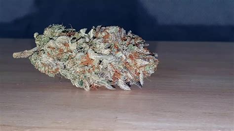 Cherry Cola Cannabis Strain Review And Information Ismoke