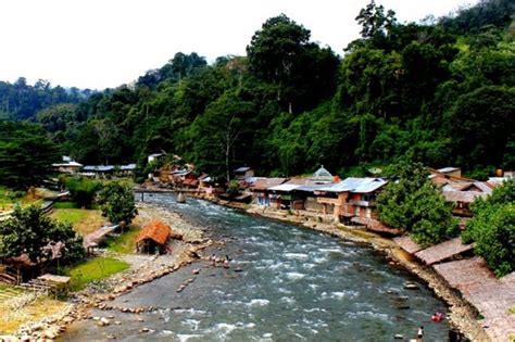 The colonial era building is famous as a haunted house, though the semarang city government has attempted to rebrand it. Bukit Lawang, Rekreasi Sambil Melihat Berbagai Macam Flora ...