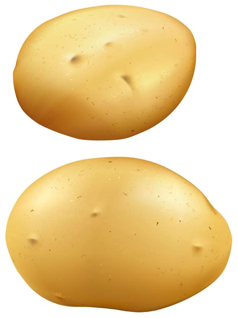 Potato Png Images Free Download Peeled Potato Clipart Images Free Transparent Png Logos