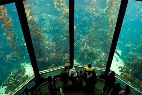California’s Monterey Bay Aquarium Monterey Bay Aquarium Ocean Aquarium