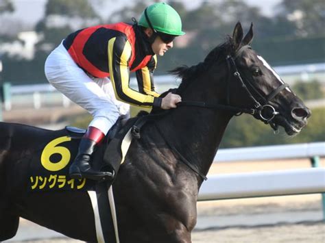 Copyright © 2021 カラオケうたてん all rights reserved. 【紅梅Sレース後コメント】ソングライン林徹調教師ら | 競馬 ...