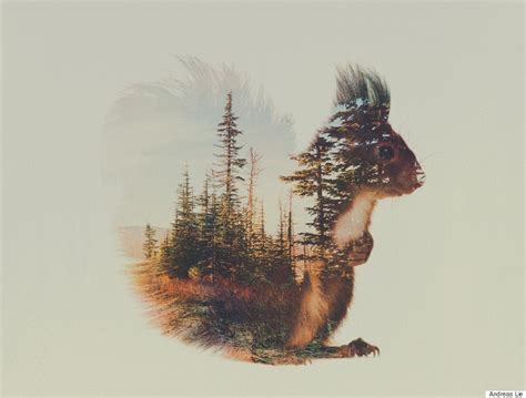 Wild Animals And The Forest Meet In Digitally Merged Photographs Huffpost