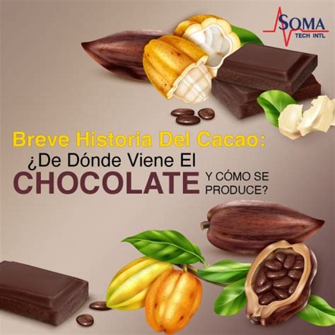 Origen Del Chocolate ¿sabes De Dónde Proviene La Palabra Chocolate
