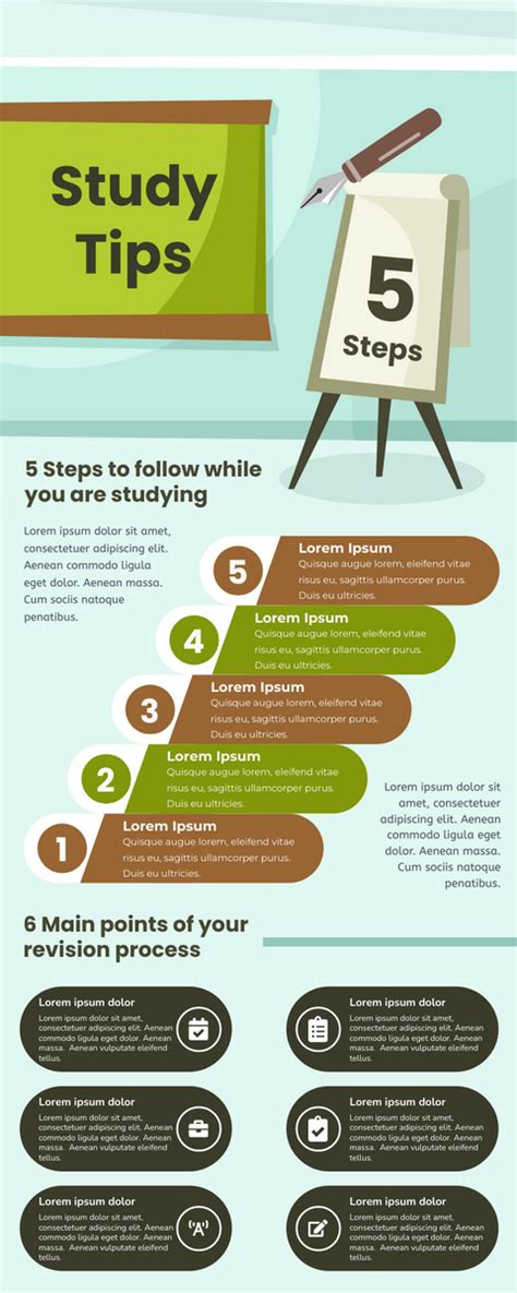 Infographic For The Tips Of Study Infographic Template
