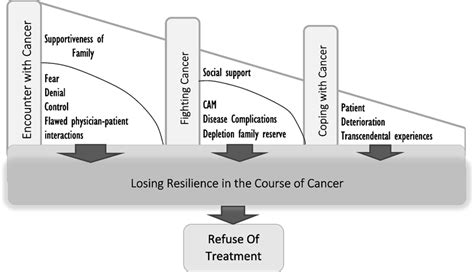 Cancer Patient Refuse Of Treatment Model Download Scientific Diagram
