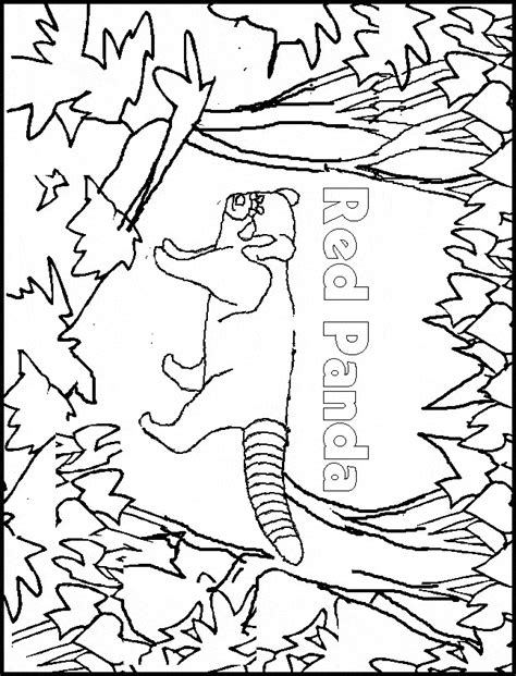 Enjoy free panda coloring pages to color, paint or a crafty educational project for young children and the young at heart. Red Panda coloring page - Animals Town - animals color ...