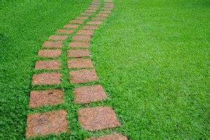 › do it yourself lawn care schedule. Hydroseeding vs Professional Hydroseeding