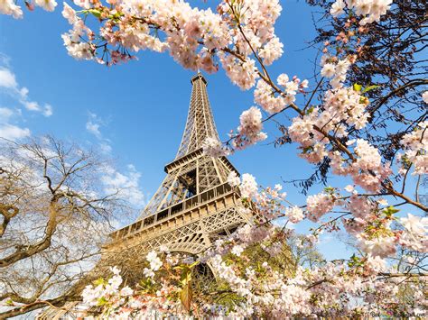 Eiffel Tower In Spring Hd Wallpaper Download