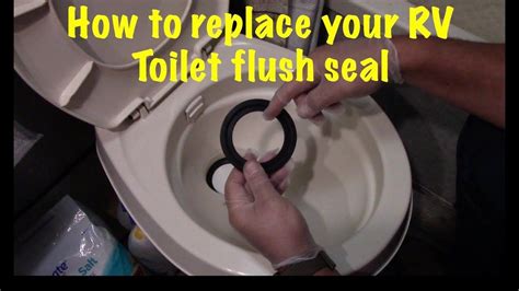 Toilet Ring Toilet Bowl Toilet Flapper Camping Hacks Diy Rv Repair Flush Toilet Rv Remodel