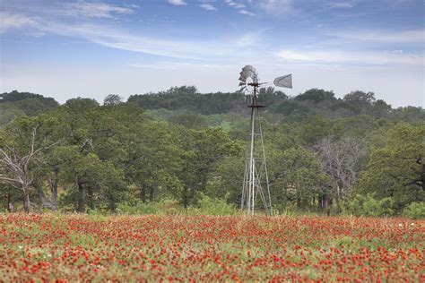 Windmill In A Field Of Texas Wildflowers Photograph By Rob Greebon