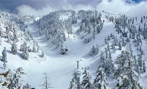 Southern Californias Mt Baldy Ski Resort To Re Open On A Limited