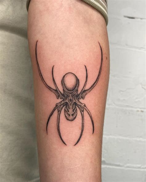 Spider Stomach Tattoo Collection Of Images And Videos
