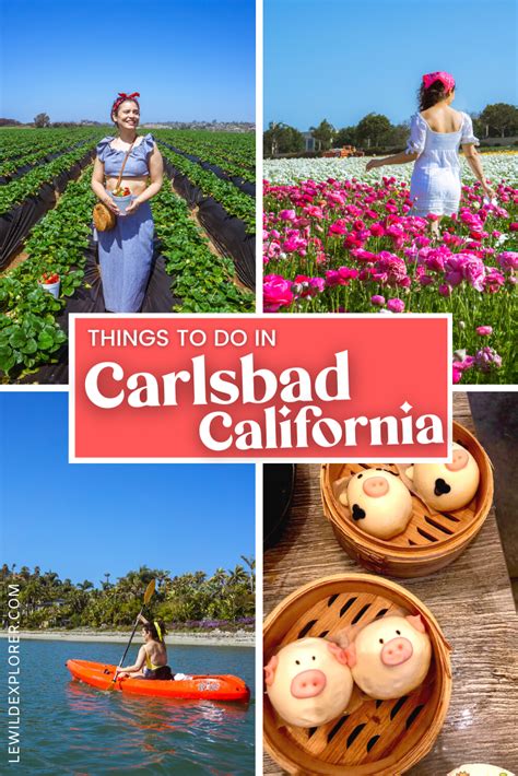 Best Things To Do In Carlsbad California Le Wild Explorer