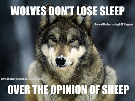We have now placed twitpic in an archived state. Wolf And Sheep Quotes. QuotesGram