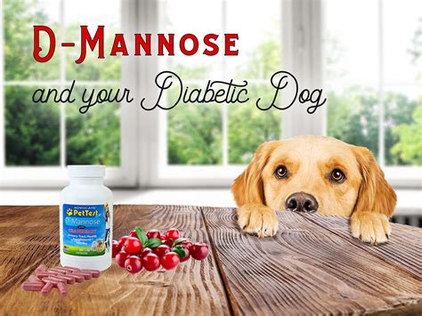 D Mannose And Your Diabetic Dog Pettest By Advocate