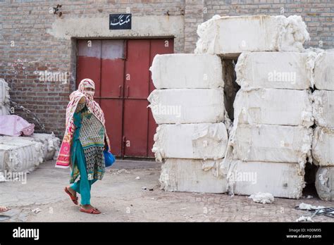 Pakistani Female Working Outside Cotton Mill Multan Pakistan Stock