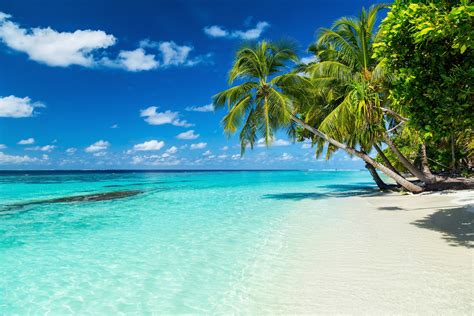 Bitcoins Can Now Buy Part Of This Caribbean Island Beach Vacation Maldives Travel