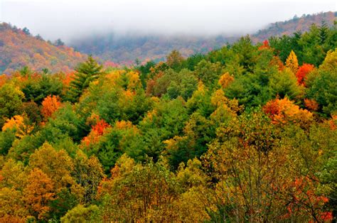 Fall Foliage Official Chamber Planning Informationthe