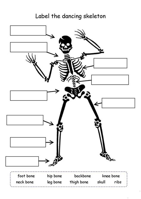 Example cause and effect fish bone diagram simple fishbone. 4th Grade Science Worksheets - Best Coloring Pages For Kids | Science worksheets, Human skeleton ...