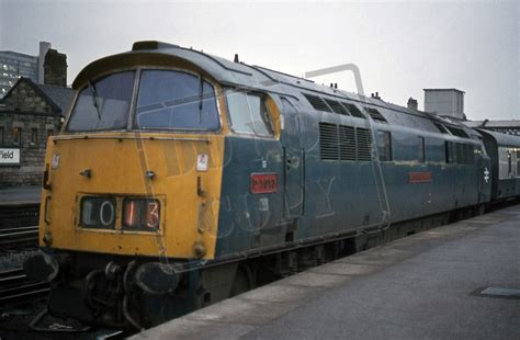 Rail Online Class 52 Western D1013 1977 01 20 Sheffield Midland