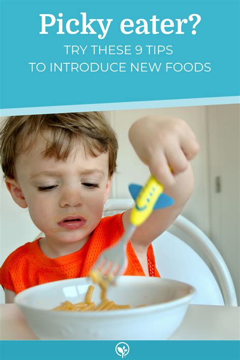 Try These 9 Tips To Help Introduce Your Picky Eater To New Foods Picky