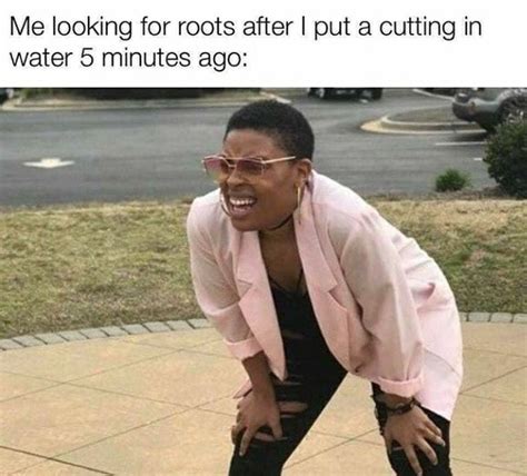 60 Plant Memes For You To Dig Through Funny Gallery Ebaums World