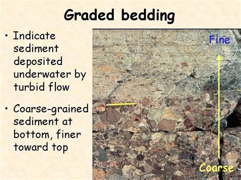 Graded Bedding Type Of Bedding Sedimentary Deposits In Which