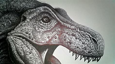 T Rex Dinosaur Drawing At Getdrawings Free Download